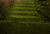 d w